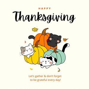 Happy Thanksgiving to ALL!